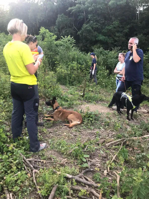 Kutyás kereső csapat