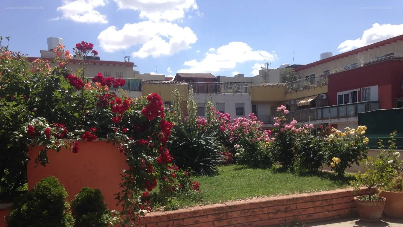 Íveljen gólt saját tetőkertjéből az Új Hidegkuti Stadionba