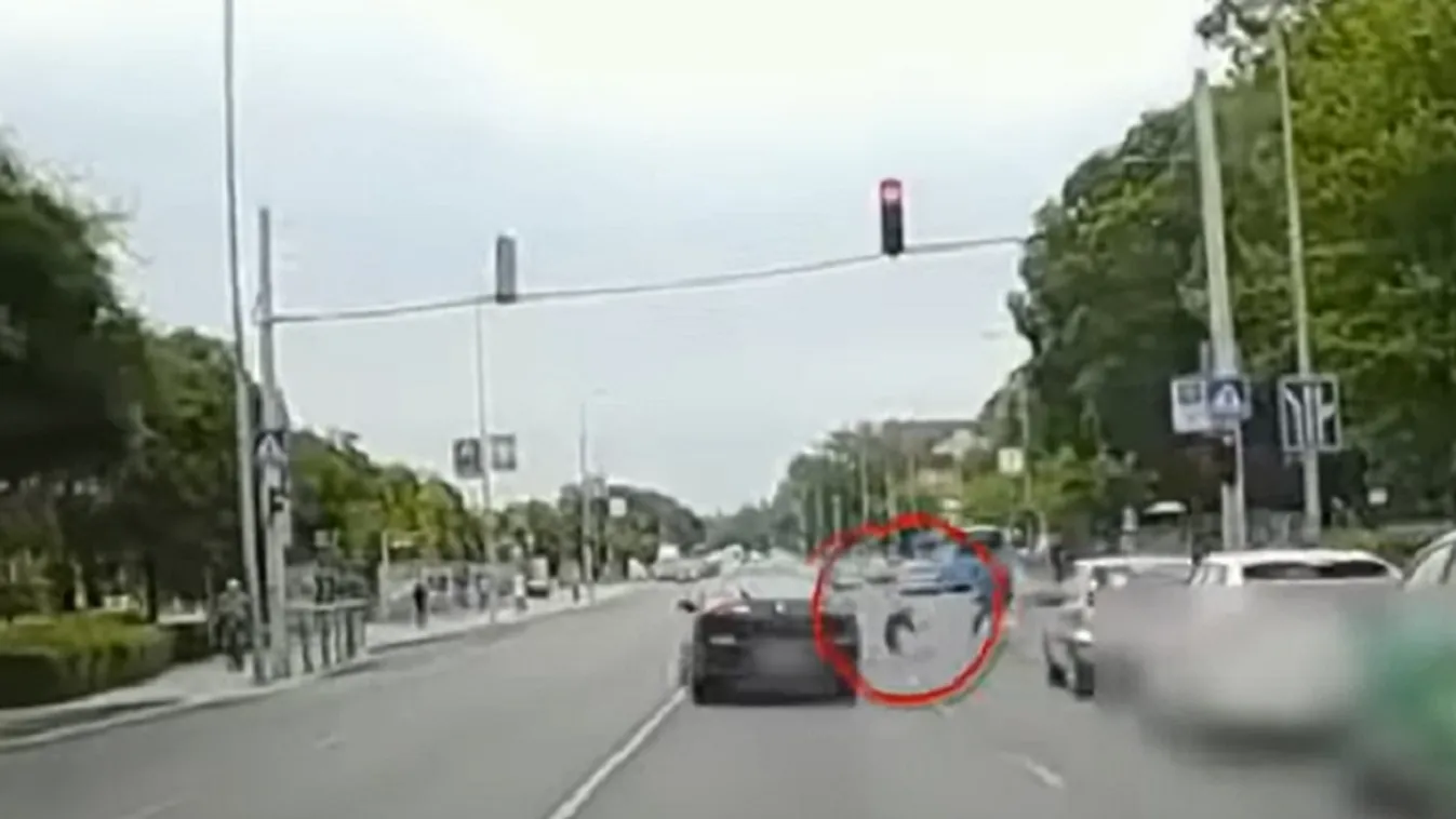 Zebrán rollerező kislányt majdnem elgázolt egy autós