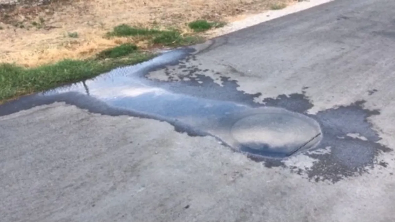 Döbbenetes: Elöntötte a szennyvíz Monorierdőt