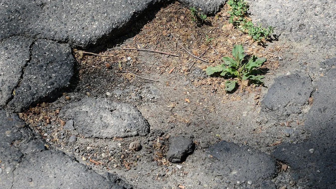 A kispestiek maguk foltoznák be Wekerletelep kátyúit