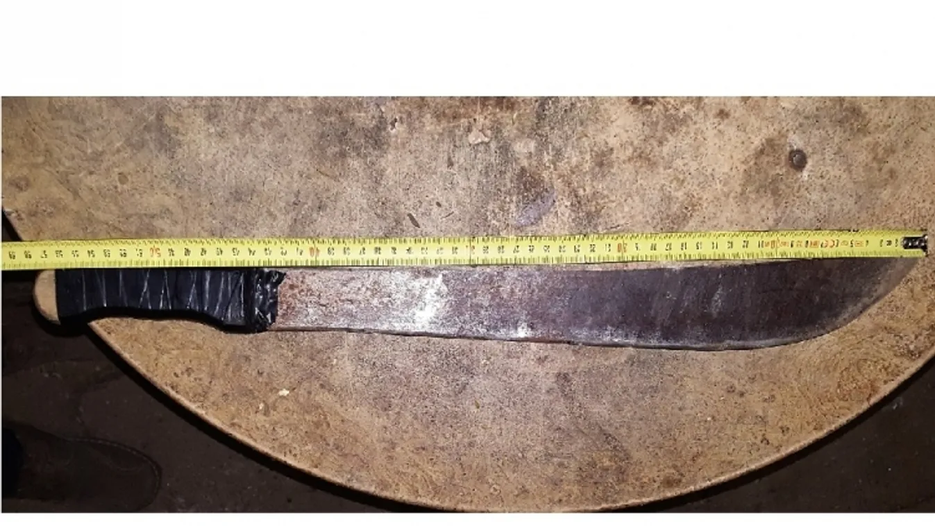 Bozótvágóval rabolta ki idős áldozatát egy magyar tinédzser