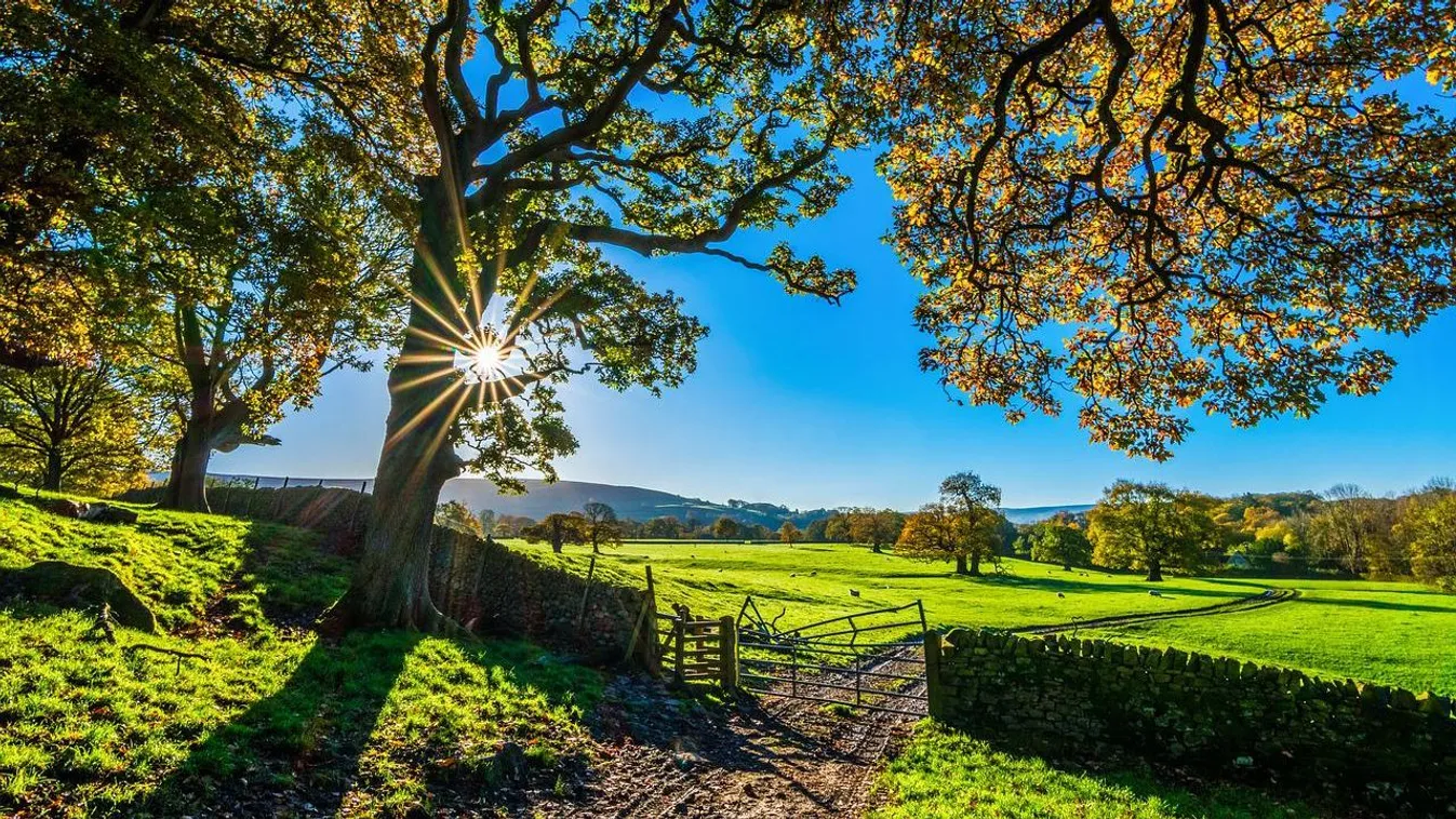 A Keleti főcsatornában találták holtan a farm Zolikáját