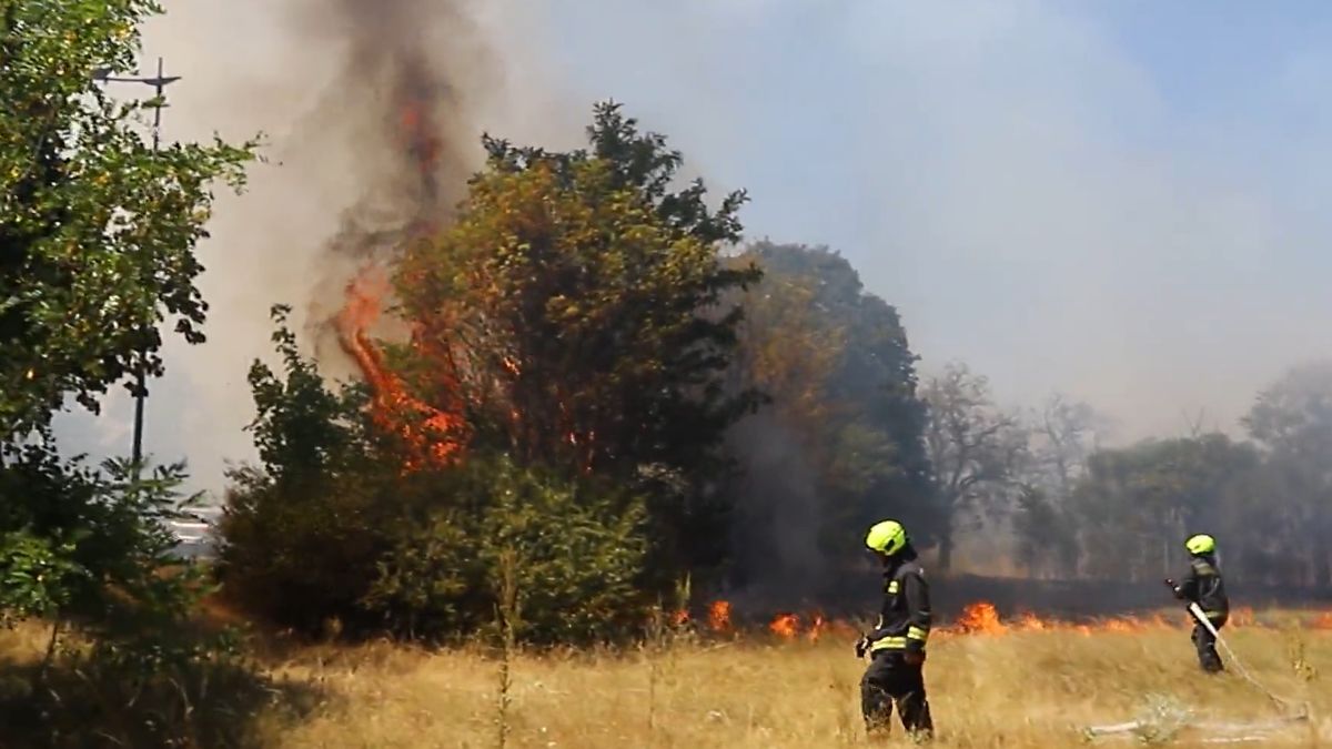 Friss helyszíni videó: óriási lángok csaptak fel a Gyorsforgalmi út mellett