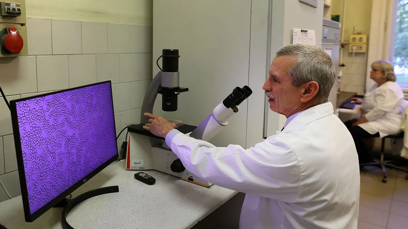 Érdemes újra maszkot viselni vagy nem? Dr. Rusvai válaszolt