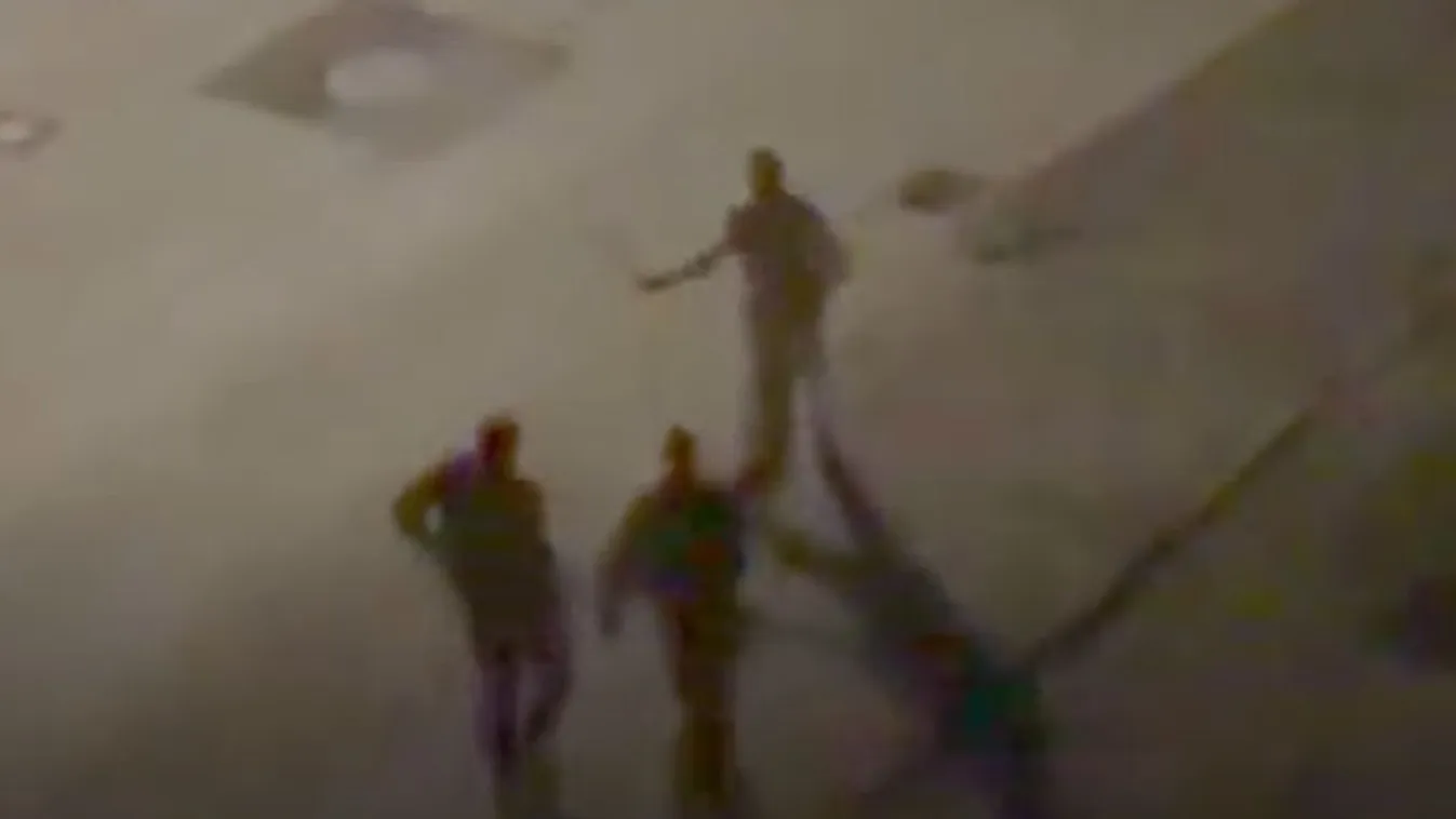 Bozótvágóval támadt a rendőrökre a férfi – videó