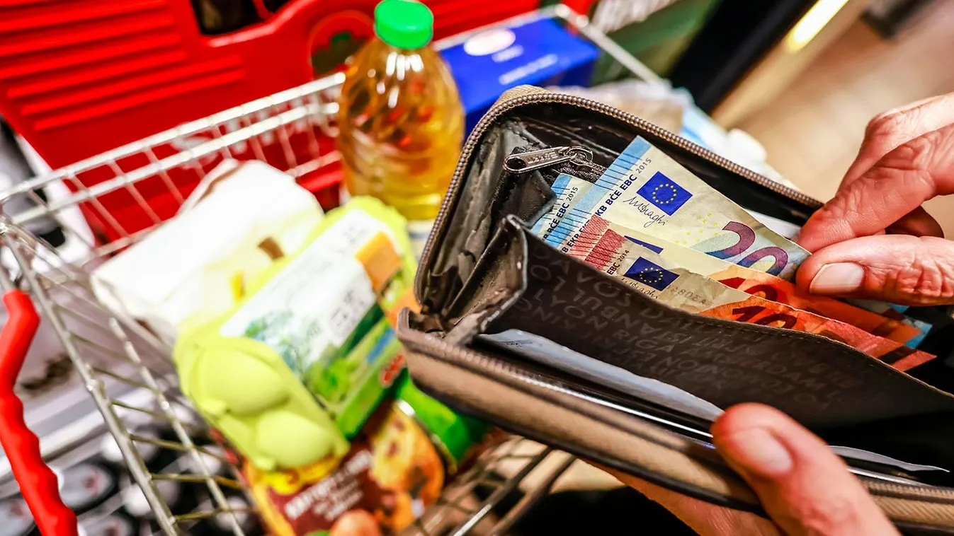 8 éven belül a felét érheti a mostaninak a németek pénze