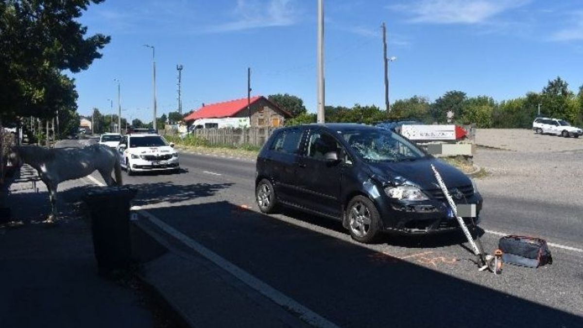 Döbbenetes részletek a szekszárdi lovasbalesetről