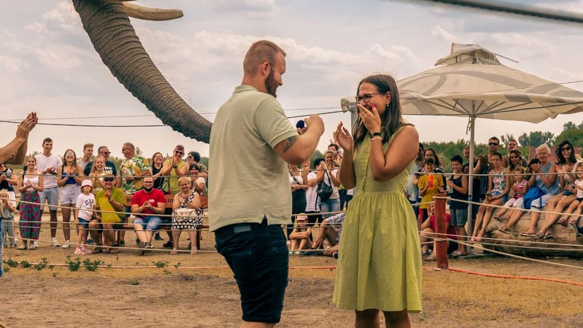 Hihetetlen, mi történt a Richter Safari Parkban, az elefántok is megdöbbentek