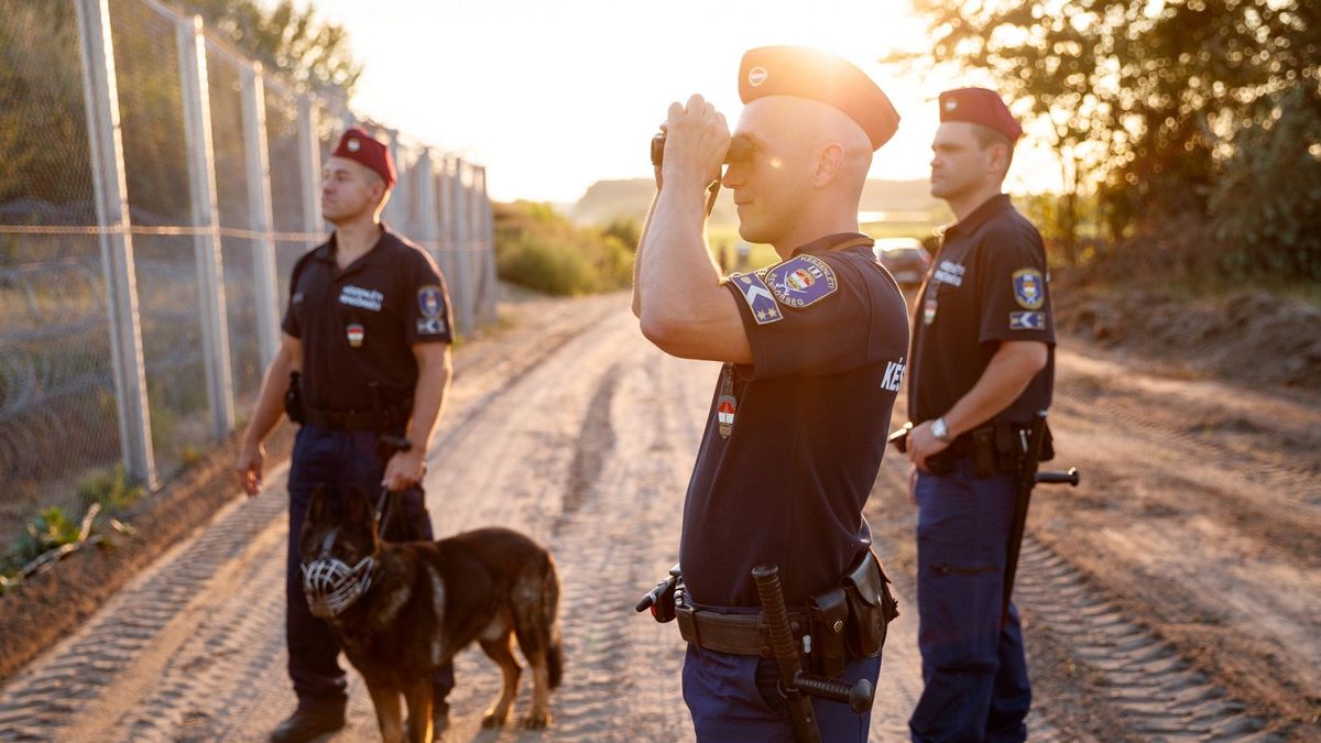    Egy nap alatt ezernél is több migránssal szemben intézkedtek a déli határon