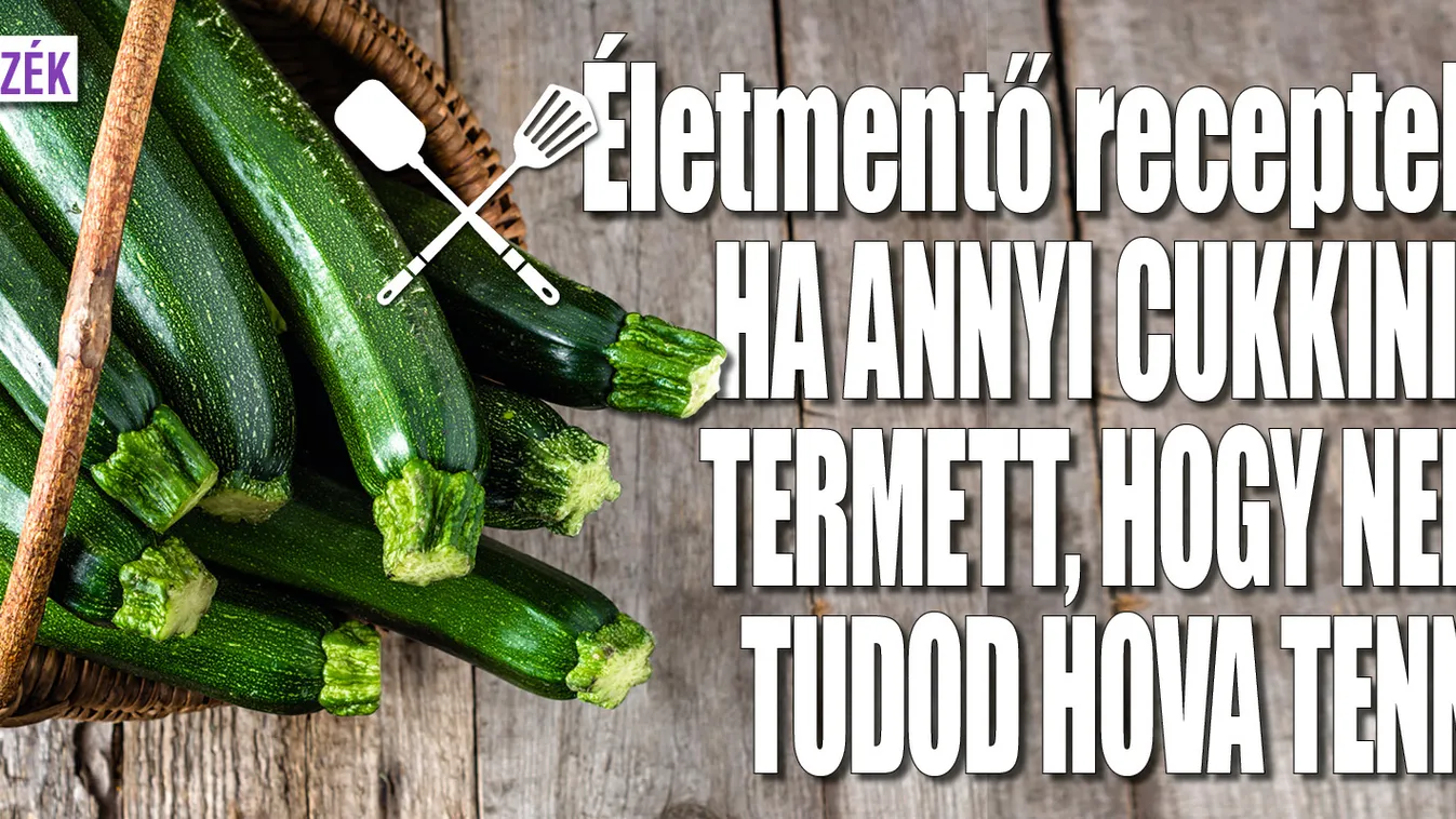 Életmentő receptek, ha túl sok cukkinid termett