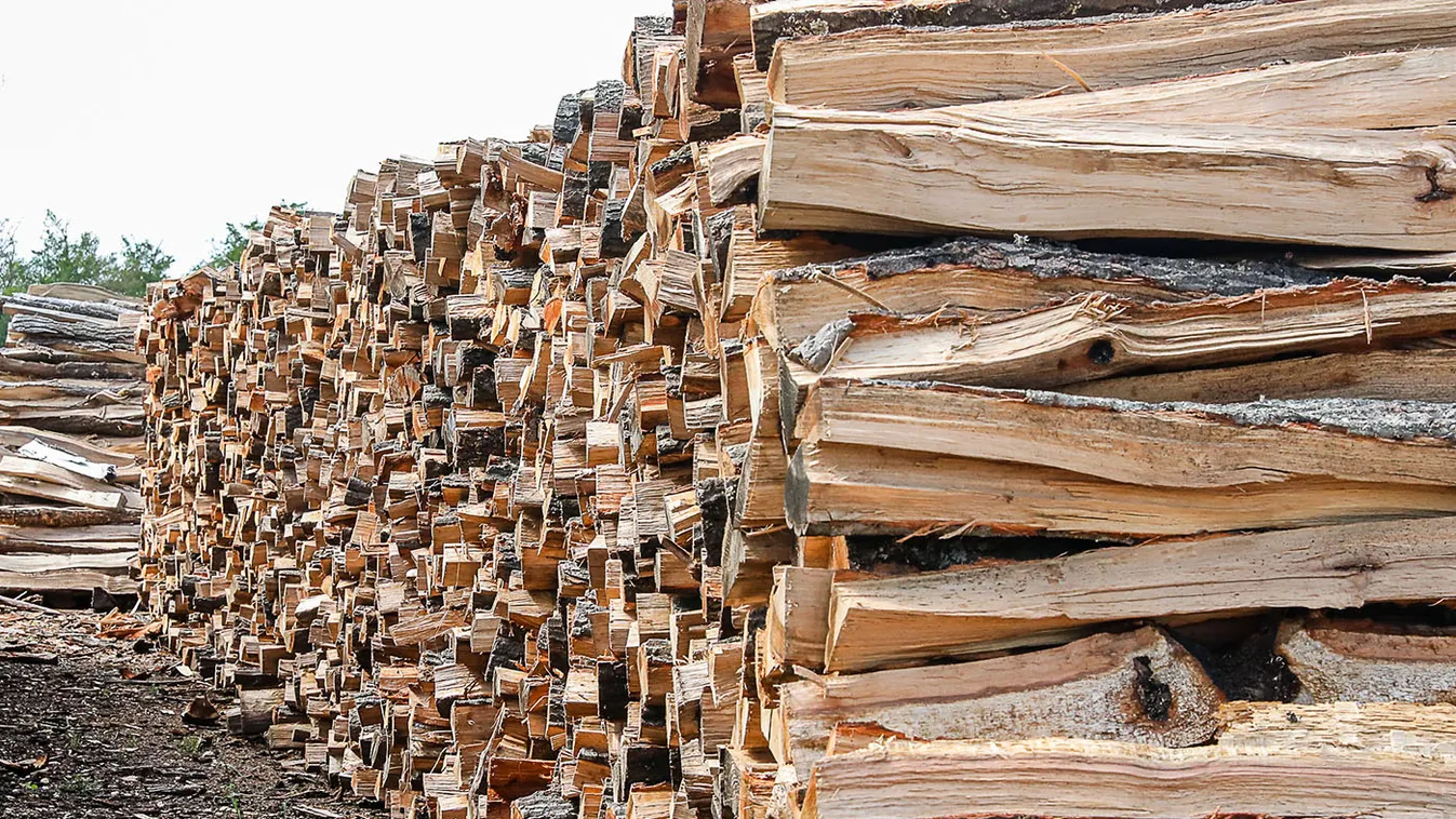 Roham indult a fáért és a kályhákért