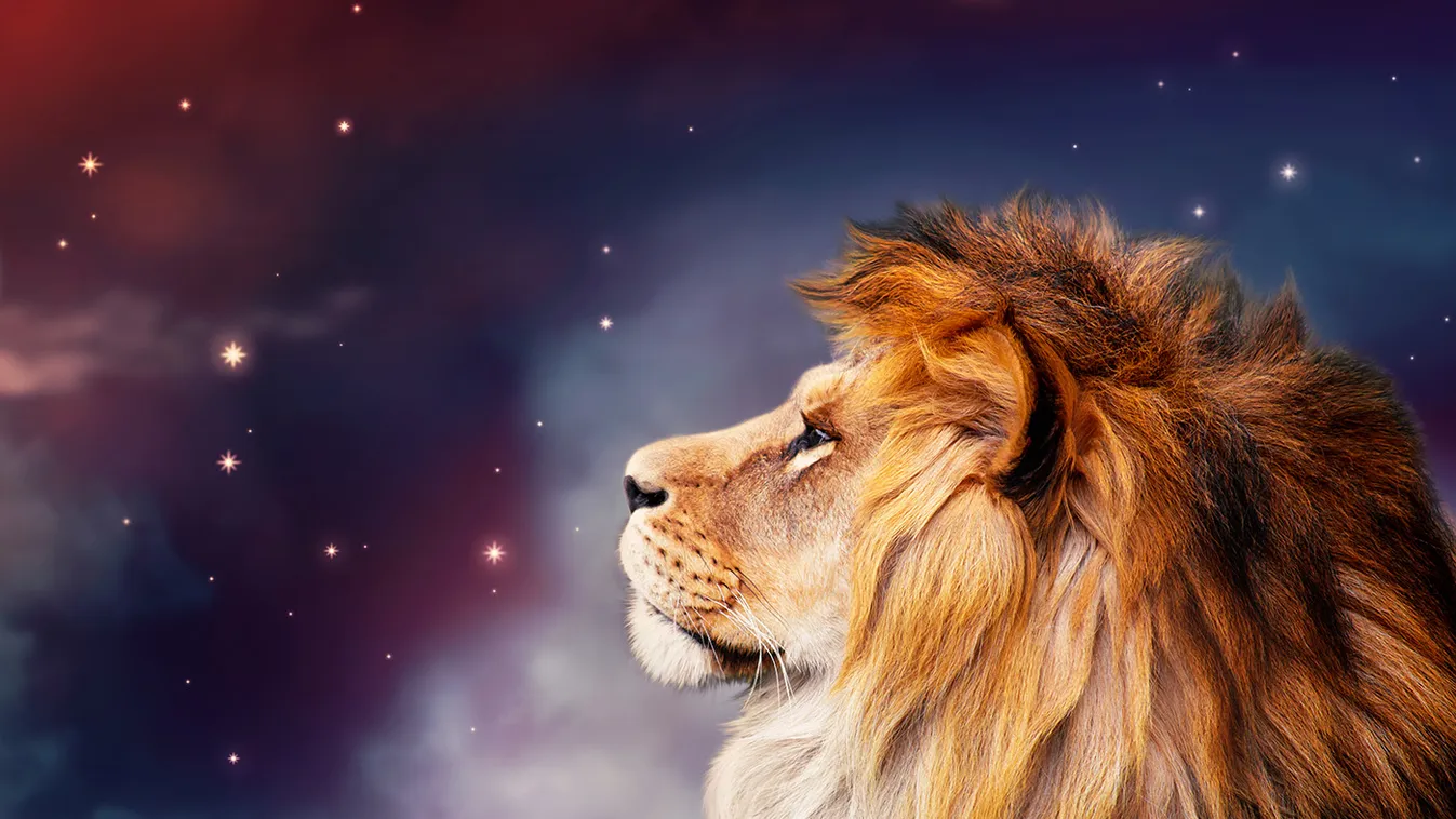 African,Lion,And,Night,In,Africa.,African,Savannah,Moonlight,Landscape,