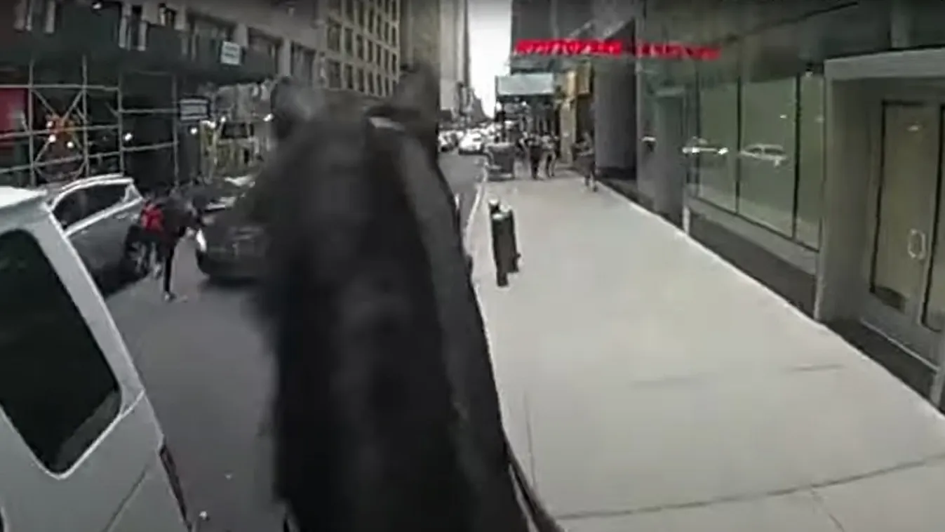 Lovas rendőr üldözte a tolvajt - Videó