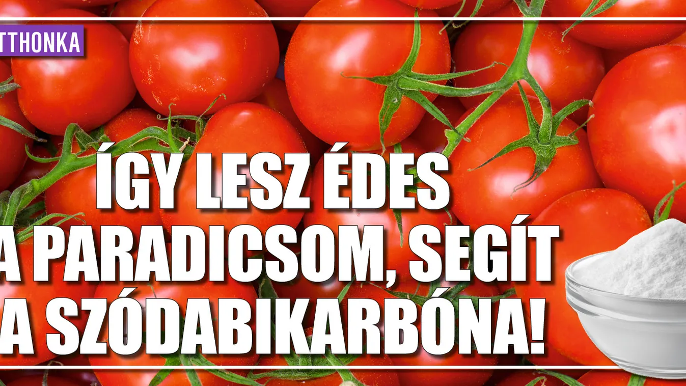 Így lesz édes a paradicsom, segít a szódabikarbóna!