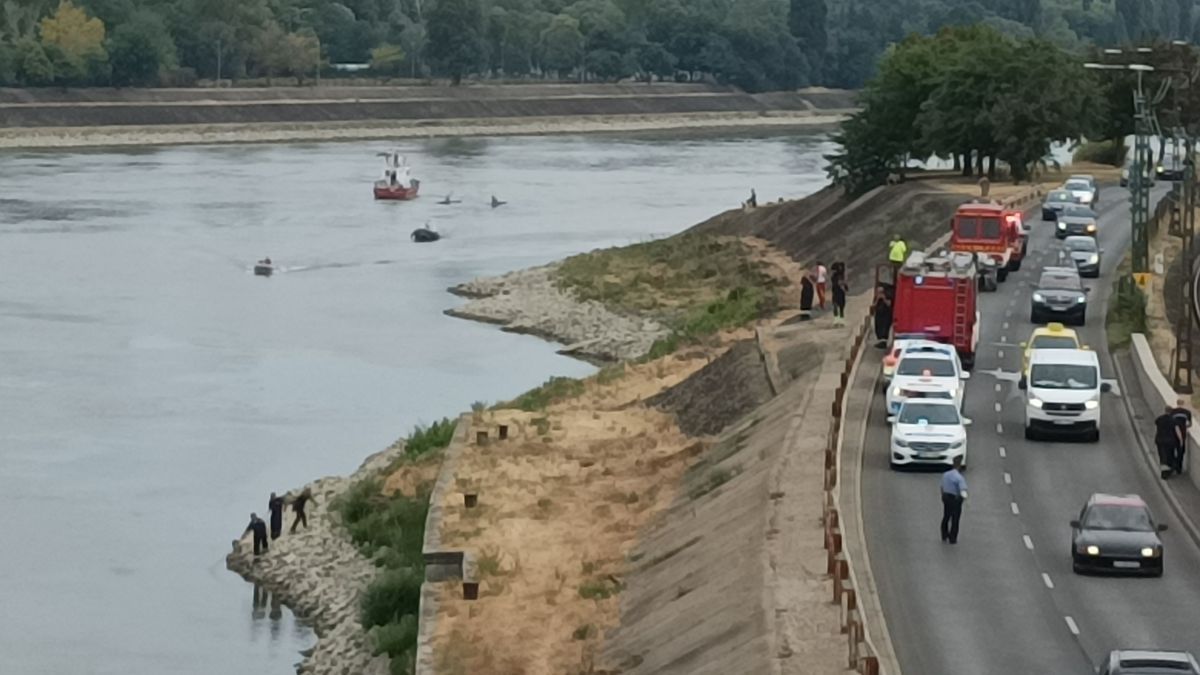 Újabb részletek: testvérei szeme láttára fulladt a Dunába a 11 éves fiú