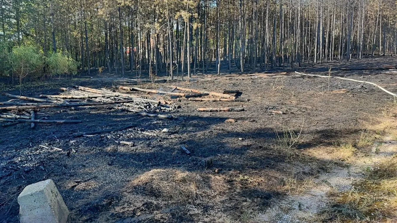 Erdőtűz lett a bográcsozásból Piliscsabán