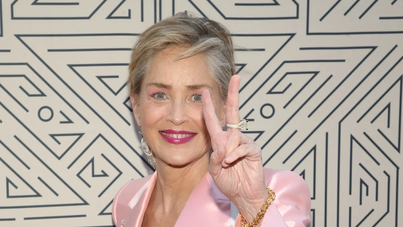 Melltartó nélkül kapták lencsevégre a 64 éves Sharon Stone-t