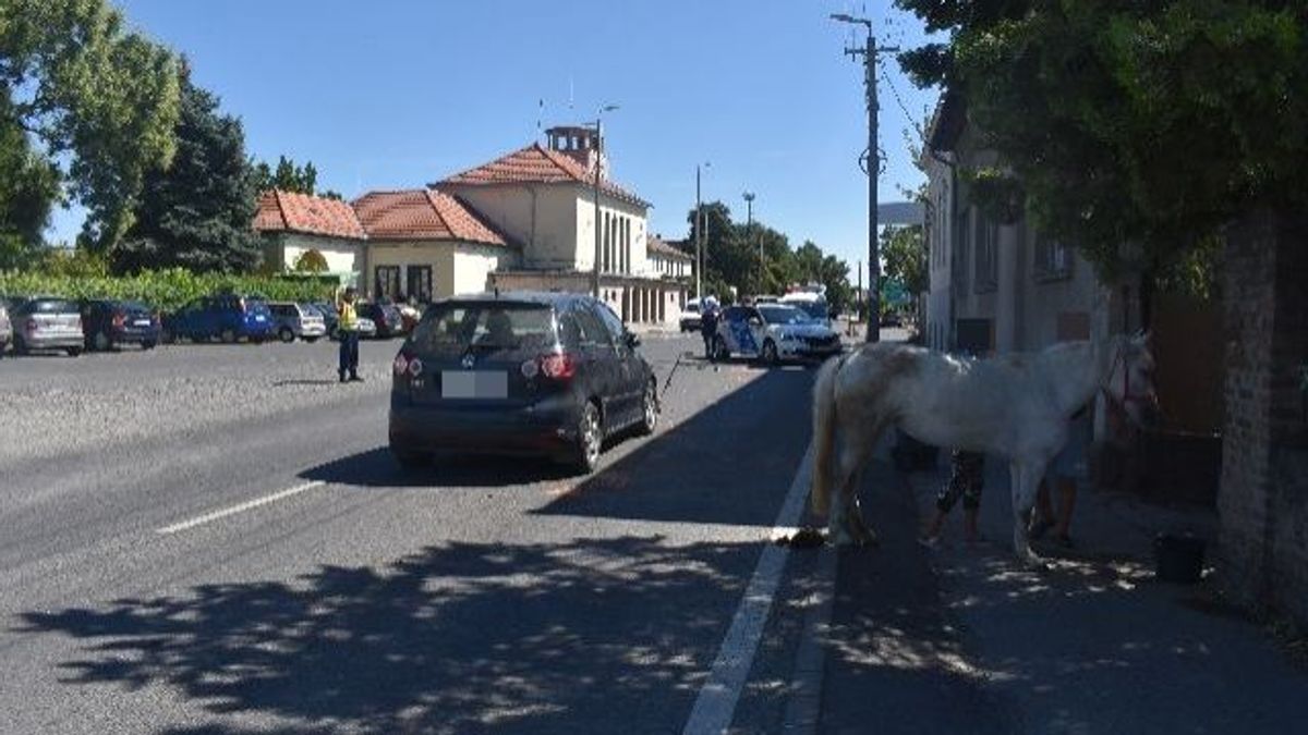 Szekszárdi lovasbaleset: Testével védte feleségét a sofőr