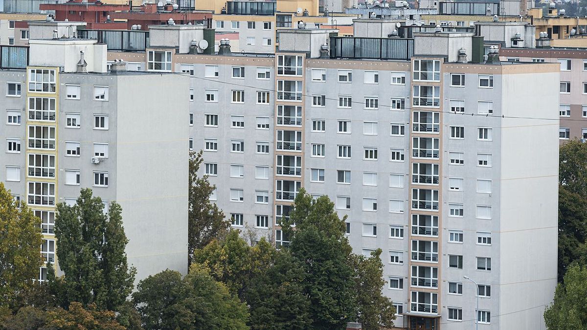 Ennyiért bérelhetnek lakást idén az egyetemisták