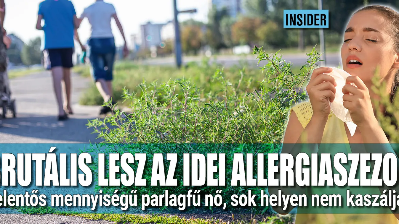 Brutális lesz az idei allergiaszezon