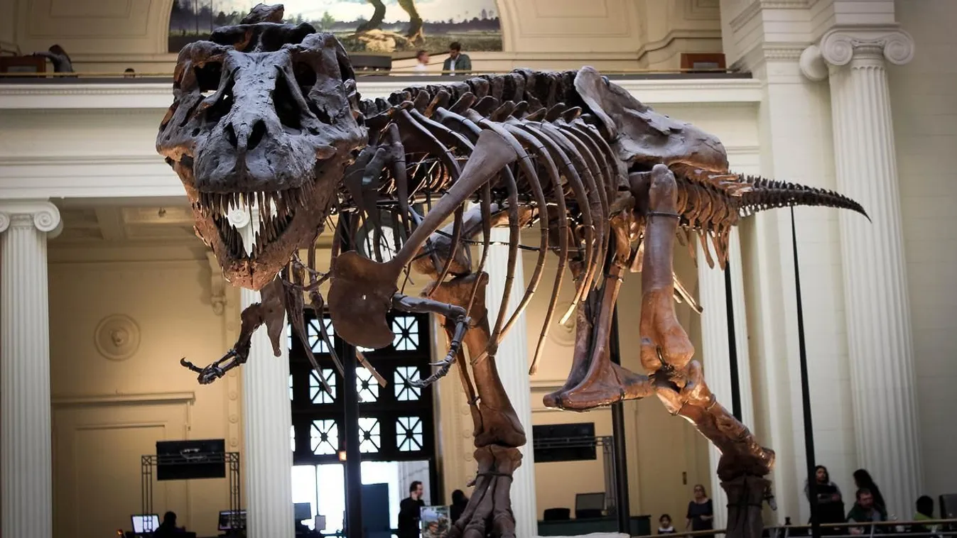 Enni ment a kínai büfébe, leesett a férfi álla