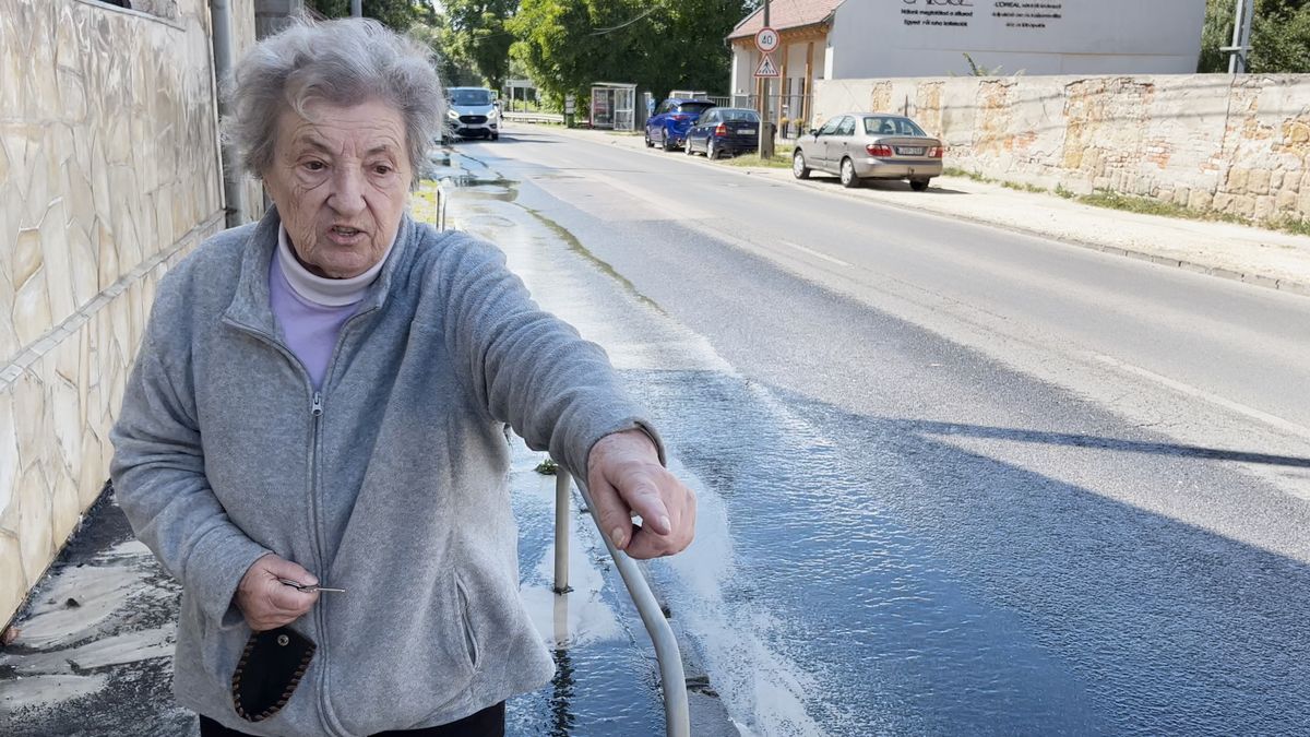 Bajban van a 83 éves solymári asszony: csőtörés mossa el a házát