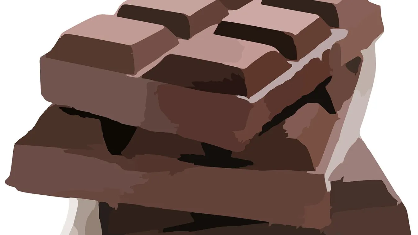 Megvan, honnan kerülhetett szalmonella a belga csokiba