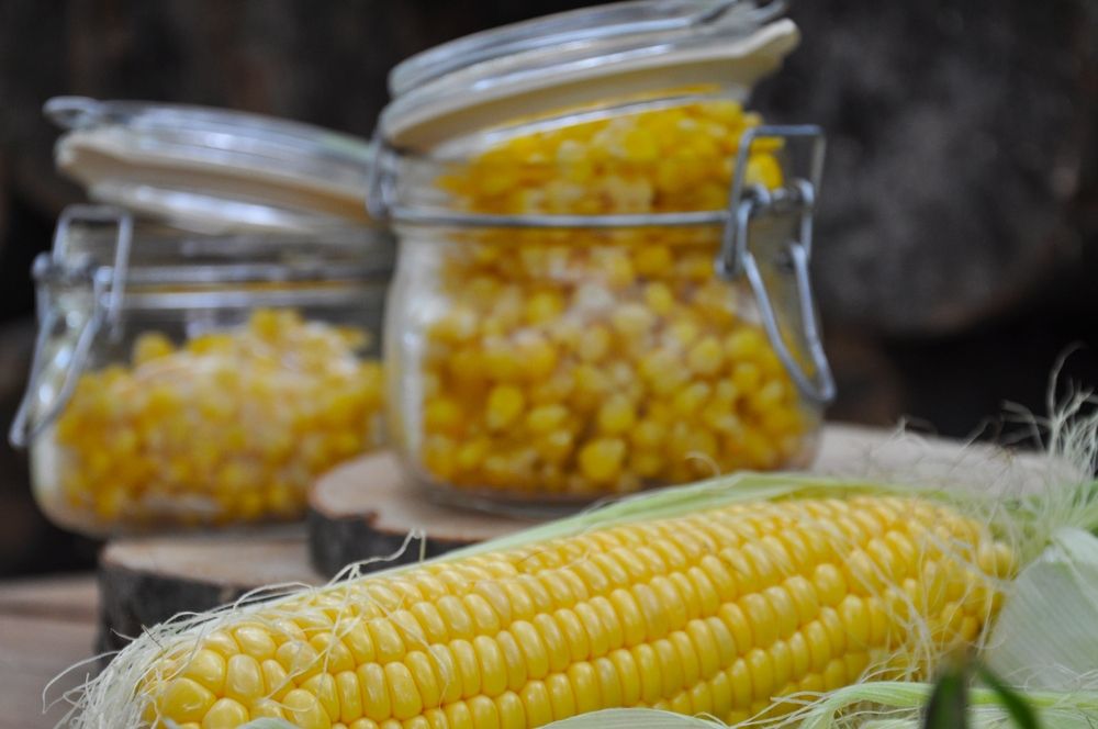 Corn.,Frozen,Corn,In,A,Glass,Jar.,Harvesting,Vegetables,For