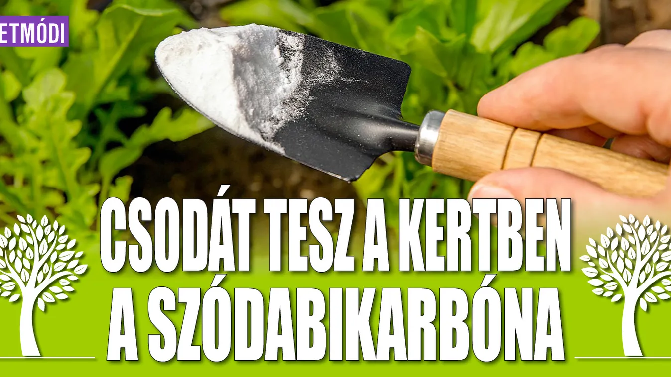 Csodát tesz kertedben a szódabikarbóna