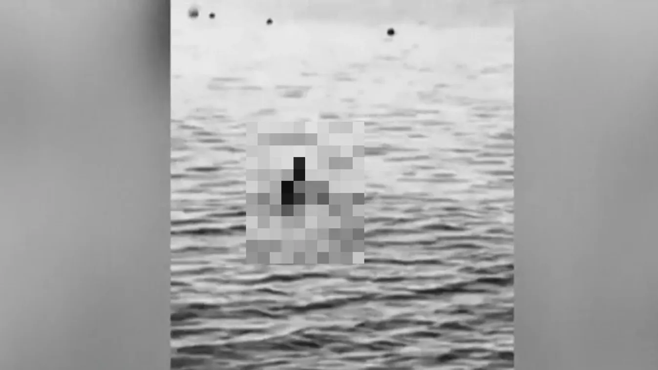 Véres videó: magyarok is végignézték az osztrák asszony haláltusáját +18