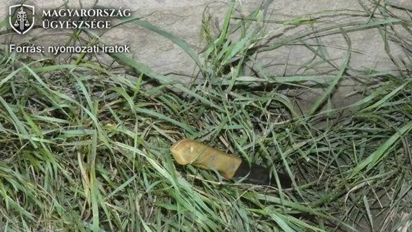 Felszúrta a garázda karját a mellére a salgótarjáni férfi