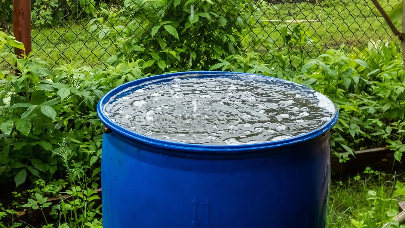 Végre jön az eső: itt a legjobb trükk, hogy gyűjtsd össze
