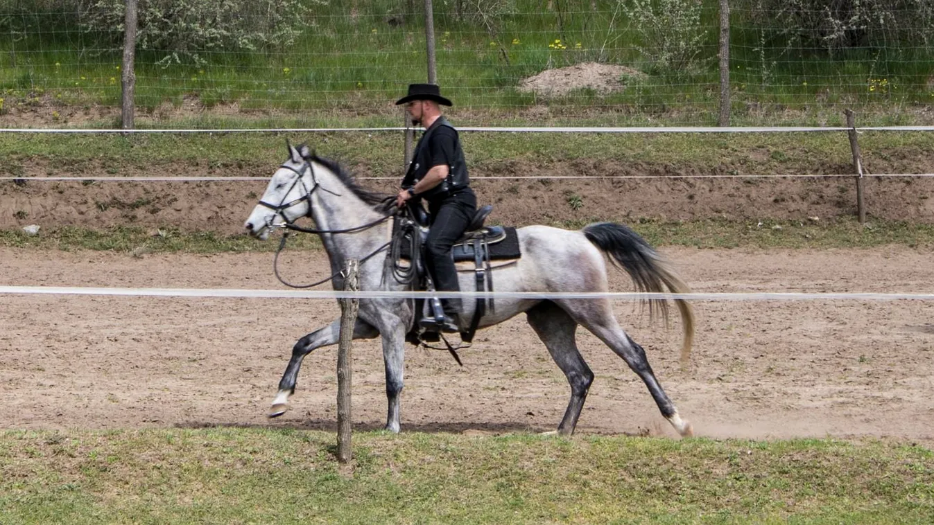 Brutális kutyatámadás: a Ripostnak mesélt a lovas