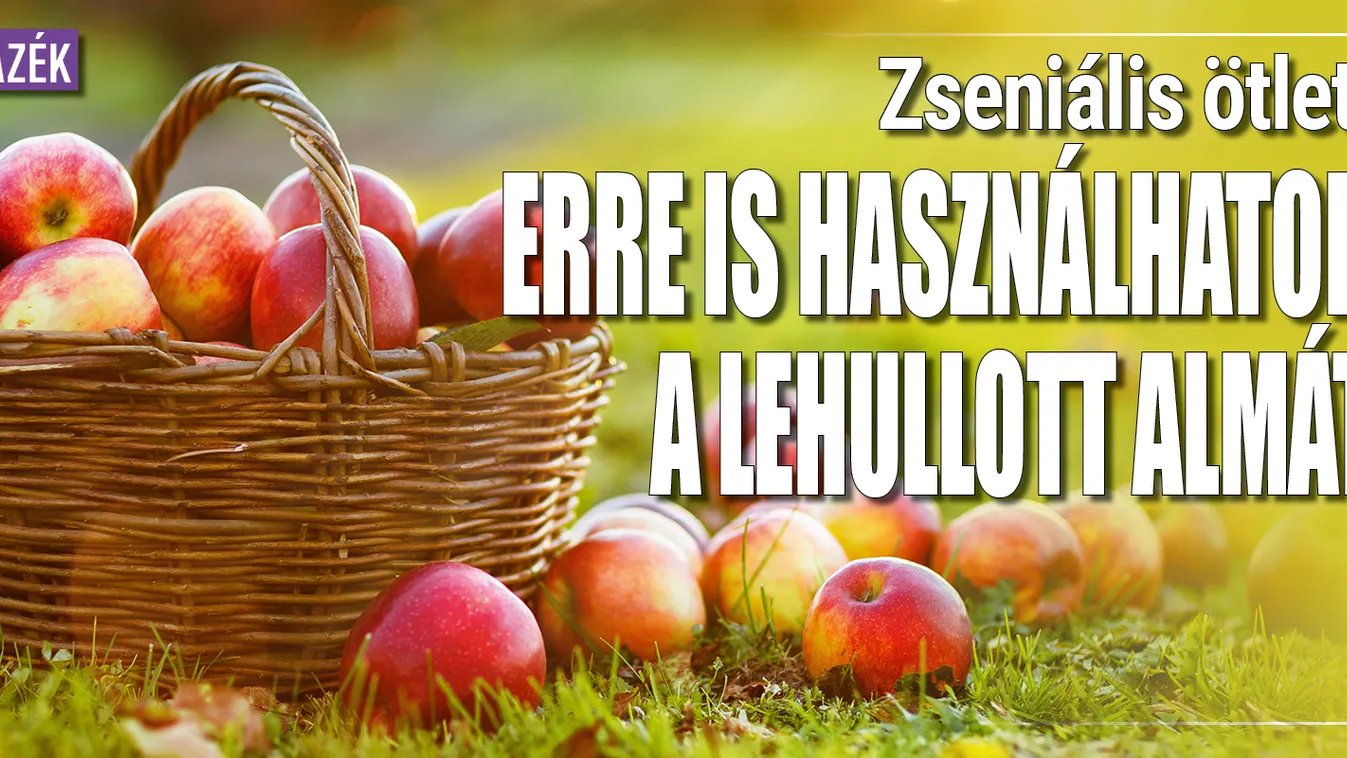Zseniális ötlet, erre is használhatod a lehullott almát