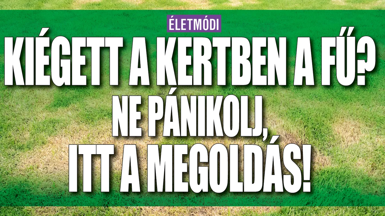 Kiégett a kertben a fű? Ne pánikolj, itt a megoldás!