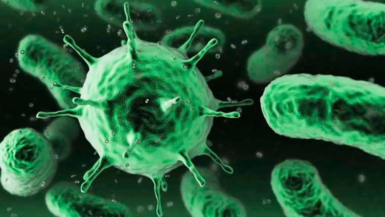 Videók bizonyítják, mennyi baktériummal találkozunk naponta