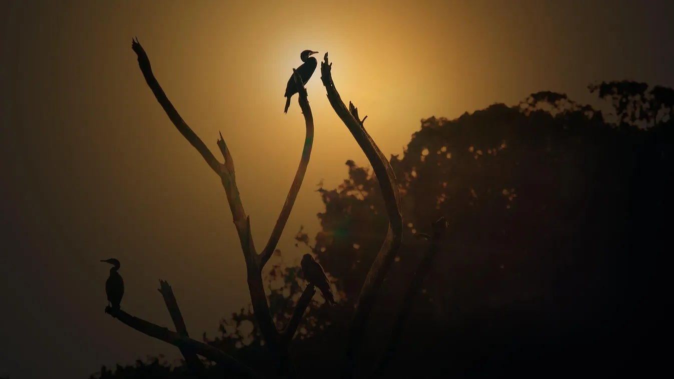 Újabb riasztást adtak ki, ez már nagyon komoly