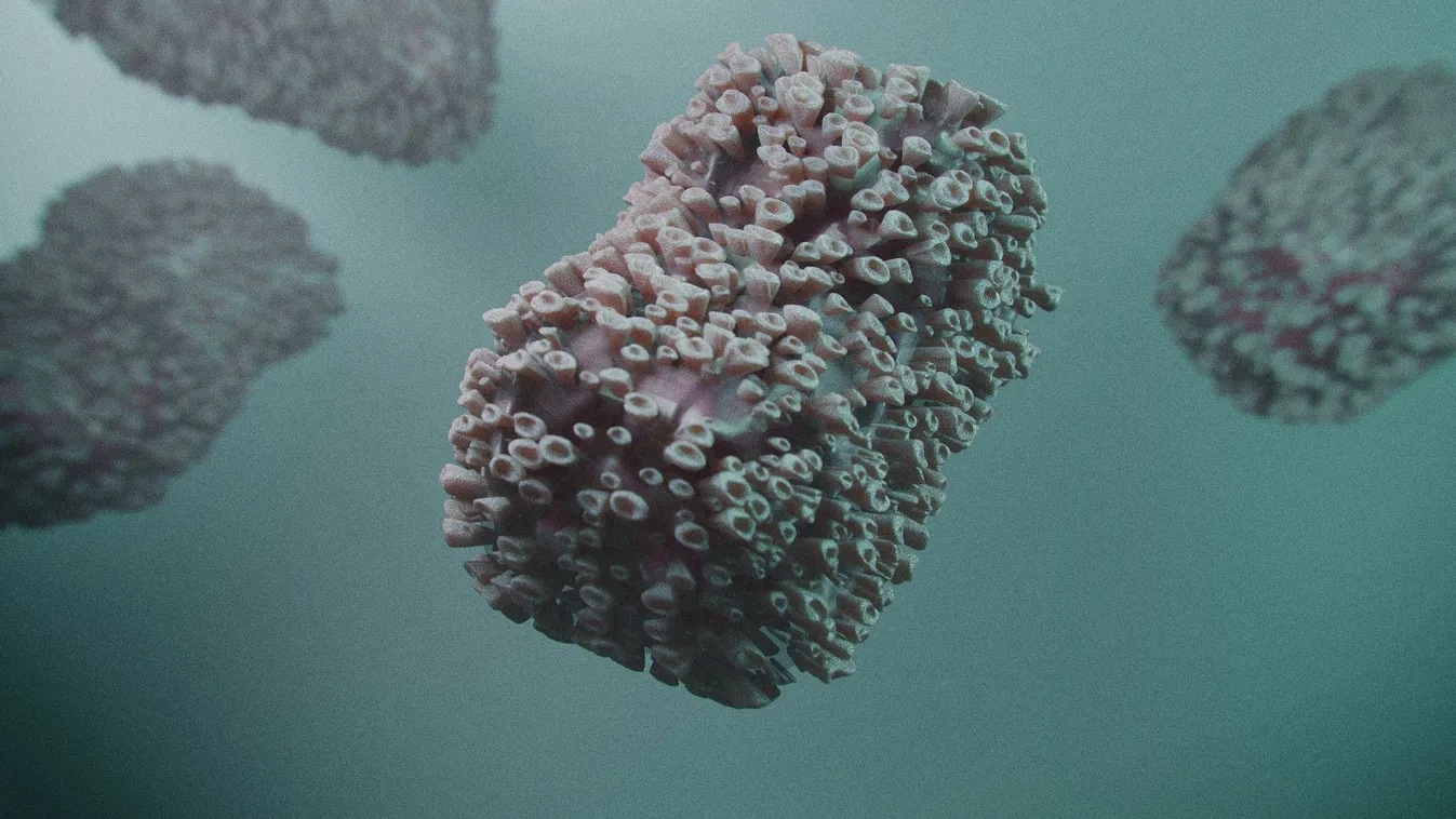 Nagy bejelentés érkezett a majomhimlőről