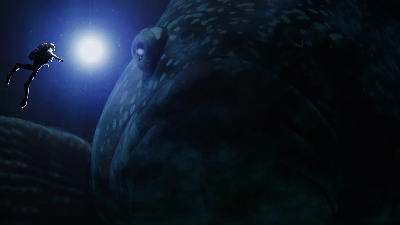 Rémes, amire a tudósok bukkantak az óceán mélyén - Videó