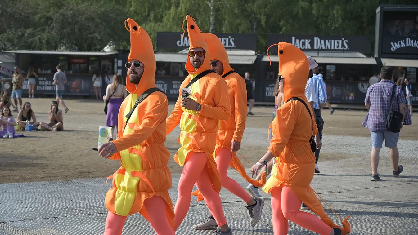 Koncert sem kell a bulihoz a Szigeten - Videó