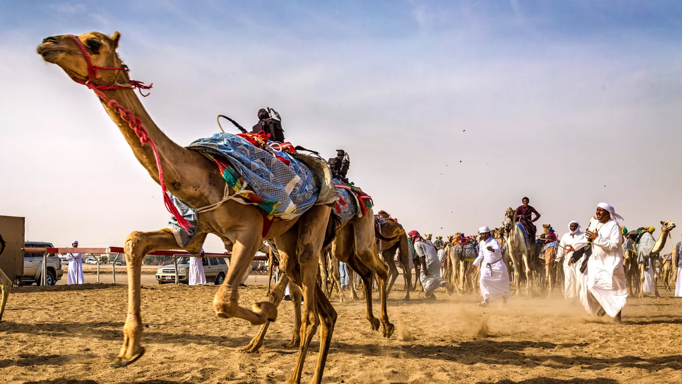 Dőlt a vér a cirkuszban: Halálra harapta a teve a férfit
