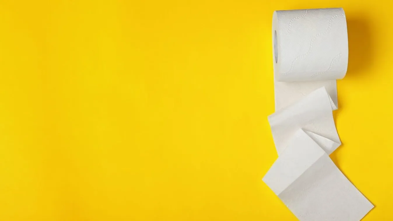 Meghökkentő magyar megoldás a hátsó kicsi helyiségre