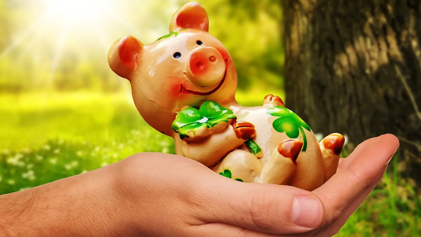 Gazdagságot ígér az augusztusi pénzhoroszkóp 3 jegynek