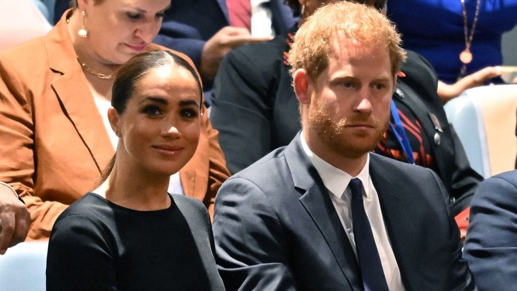 Prince Harry addresses the UN General Assembly to mark Nelson Mandela day