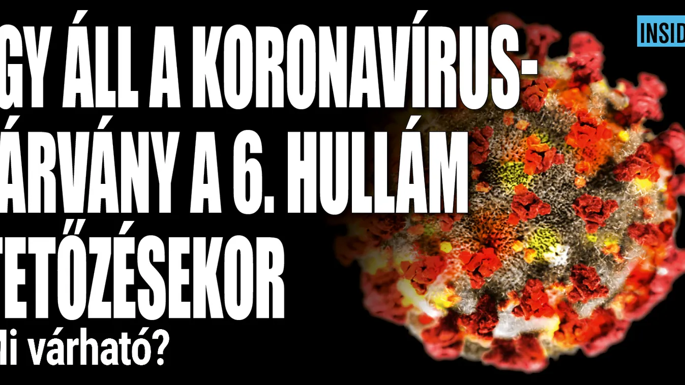 Így áll a koronavírus-járvány a 6. hullám tetőzésekor