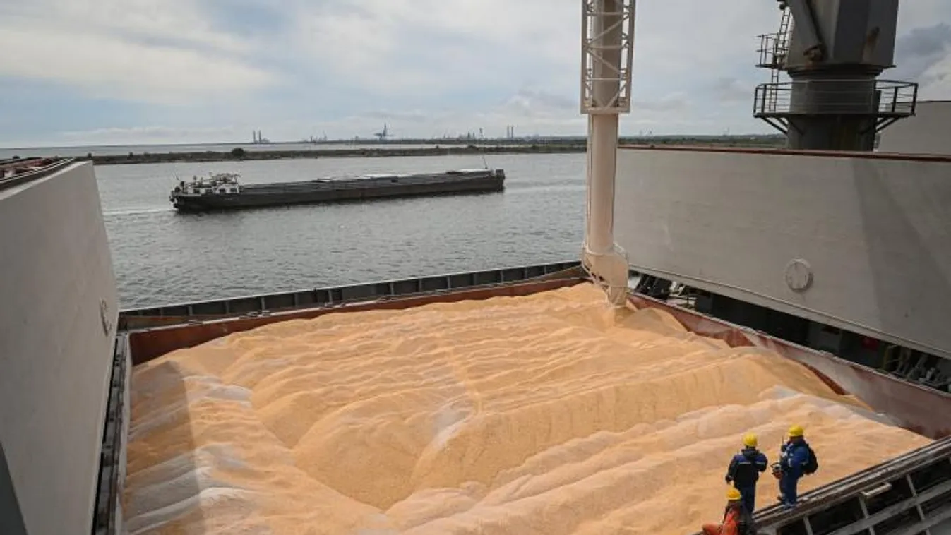 Újabb gabonaszállítmányok indultak el ukrán kikötőkből