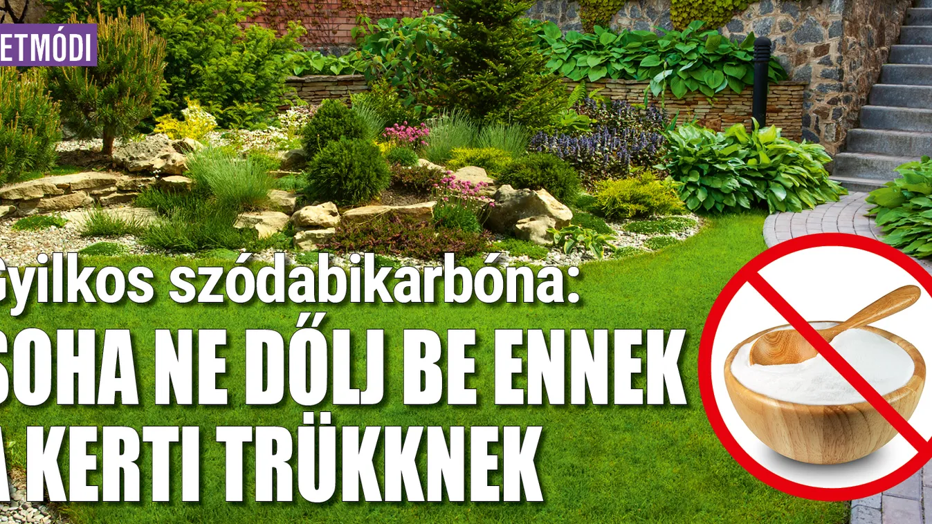 Gyilkos szódabikarbóna: ne dőlj be ennek a kerti trükknek