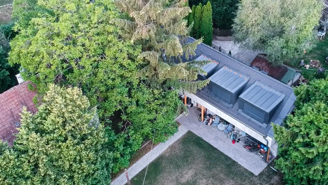 Tordai Bence továbbra is tagadja az engedély nélküli építkezést