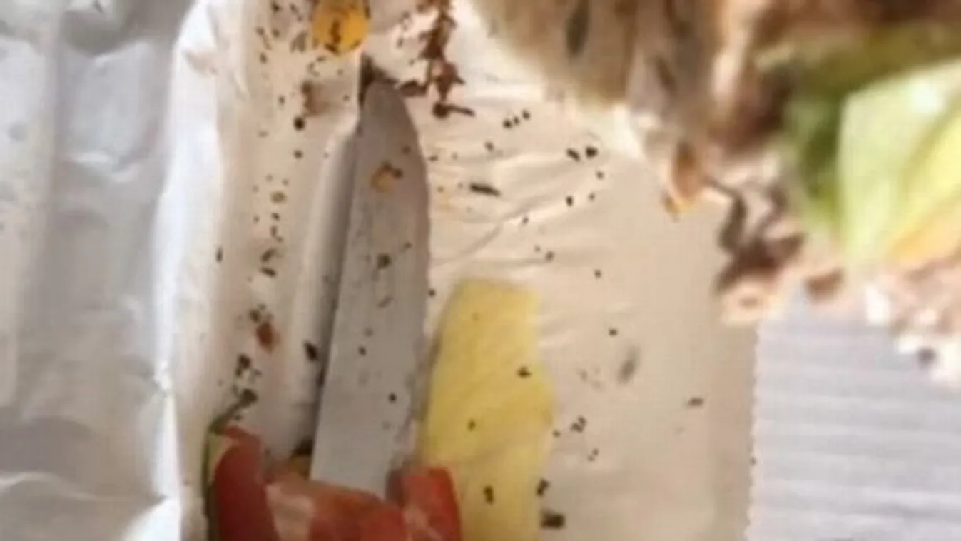 Sokkot kapott a nő, amikor meglátta, mit rejt a szendvicse